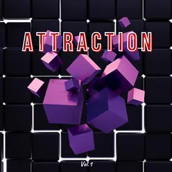Attraction Vol.1