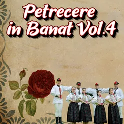 Petrecere in Banat, Vol. 4