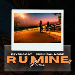 R U Mine? Remix
