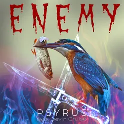 Enemy