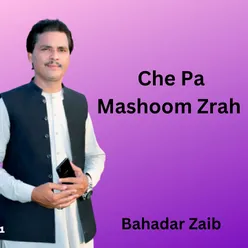 Che Pa Mashoom Zrah