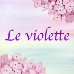 Le violette Instrumental