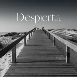 Despierta