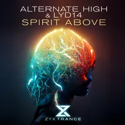 Spirit Above Extended Mix