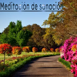 Meditacion que te ayuda a soltar