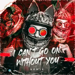 I Can't Go On Without You Remix