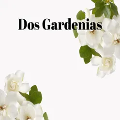 Dos Gardenias