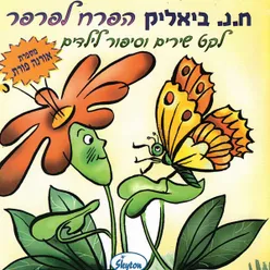 פרפר פרפר