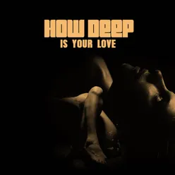 How Deep Is Your Love Bossa Nova