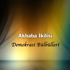 Demokrasi Bülbülleri