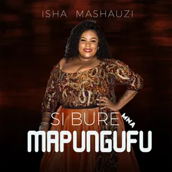 Sibure Mna Mapungufu