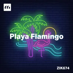 Playa Flamingo