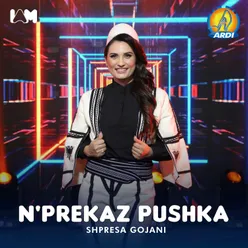 N'Prekaz pushka