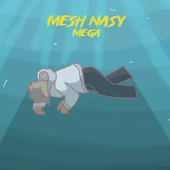 Mesh Nasy