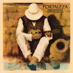 Musica Andina de Bolivia Instrumental