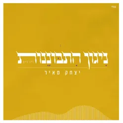 ניגון התבוננות