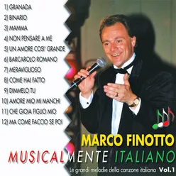 Musicalmente italiano, Vol. 1 Le grandi melodie della canzone italiana