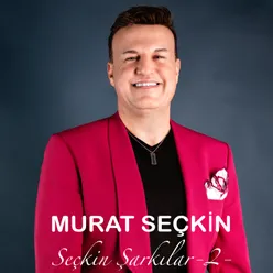 Seçkin Şarkılar 2