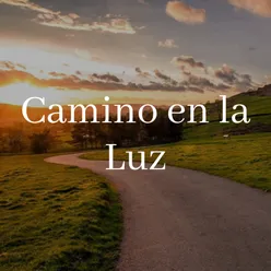 Camino en la Luz