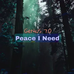 Peace I Need