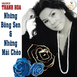 Những Bông Sen Và Những Mái Chèo