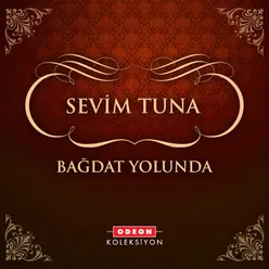 Bağdat Yolunda