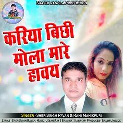 Kariya Bichhi Mola Mare Havay