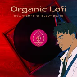 Organic Lofi Downtempo Chillout Beats