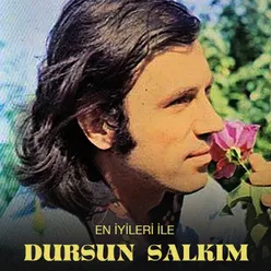 Kırılmış Bir Gül Dalı