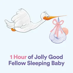 1 Hour of Jolly Good Fellow Sleeping Baby, Pt. 17