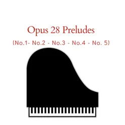 Preludes, Op. 28: No. 5 in D Major, Molto allegro