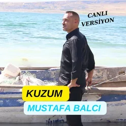 Kuzum Canlı Versiyon