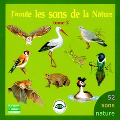 J'écoute les sons de la nature, vol. 2 52 sons