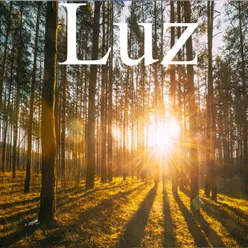 Luz