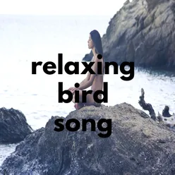 relaxing bird song