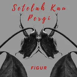 Setelah Kau Pergi