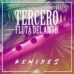 Fluta Del Amor Molio Vocal Remix Extended