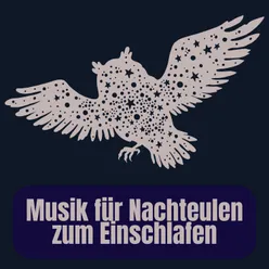 Musik für Nachteulen zum Einschlafen