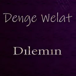 Dılemın