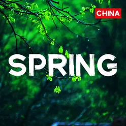 spring（china）