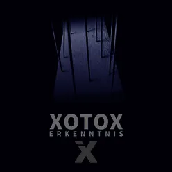 Erkenntnis The phantom string Remix