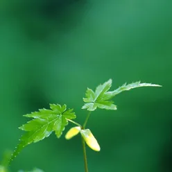 唱首祝福送大家