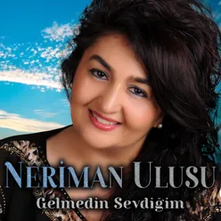 Gelmedin Sevdiğim