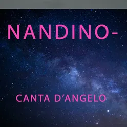 Nandino canta D'angelo