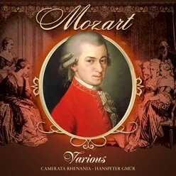 Cassation No. 2 in B-Flat Major, K. 99: VII. Allegro - Andante