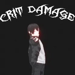 CRIT DAMAGE