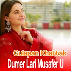 Dumer Lari Musafer U