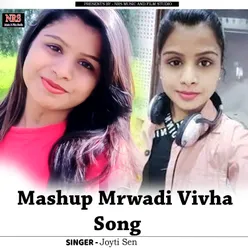 Mashup Mrwadi Vivha Song