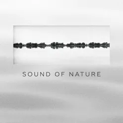 Sound of Nature