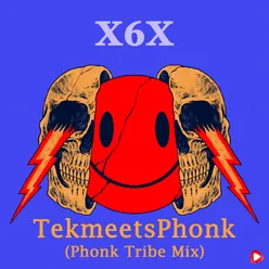 TekmeetsPhonk Phonk Tribe Mix